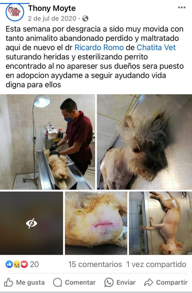 WhatsApp-Image-2026-05-16-at-12.12.06-PM-672x1024 ¡PACTO DE CRUELDAD ANIMAL! Los hilos que unen al Director del CCBA y a Thony Moyte, A.C., y su negocio redondo con el dolor animal.